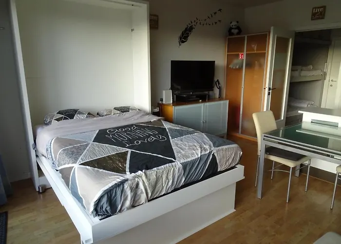 Cosy, Zuidgerichte Studio In De Panne Met Wifi